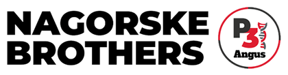 Nagorske Brothers logo