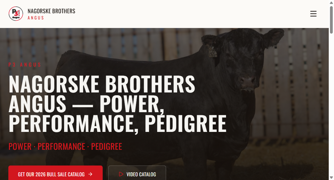 P3 Angus — p3angus.com