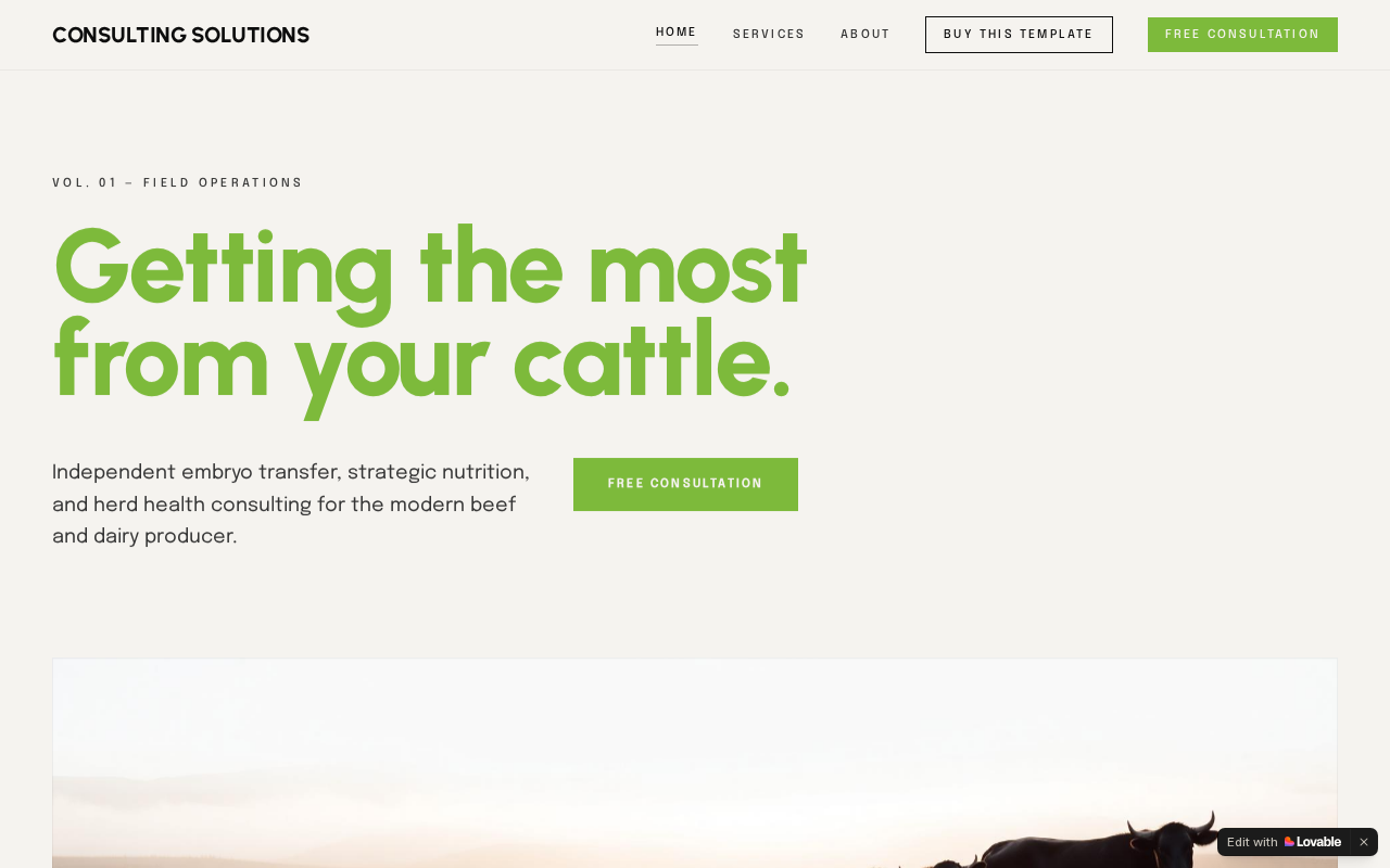 Consulting Solutions preview