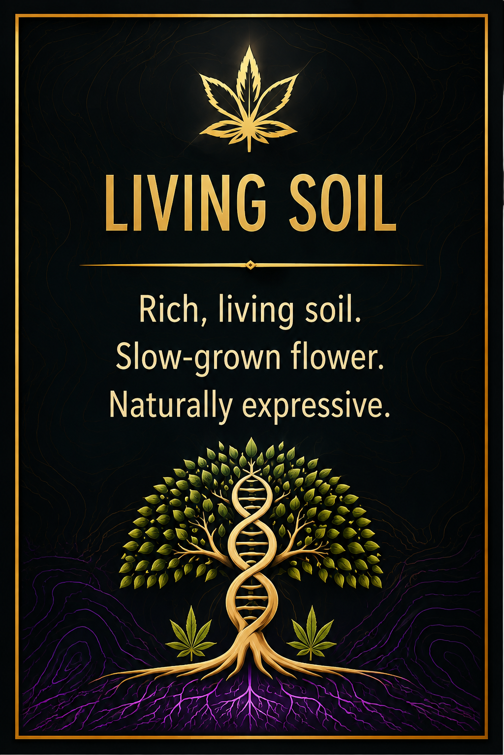 Living Soil promotional card — Rare Earth by Pitbull Acres brand and website, Source IE case study.