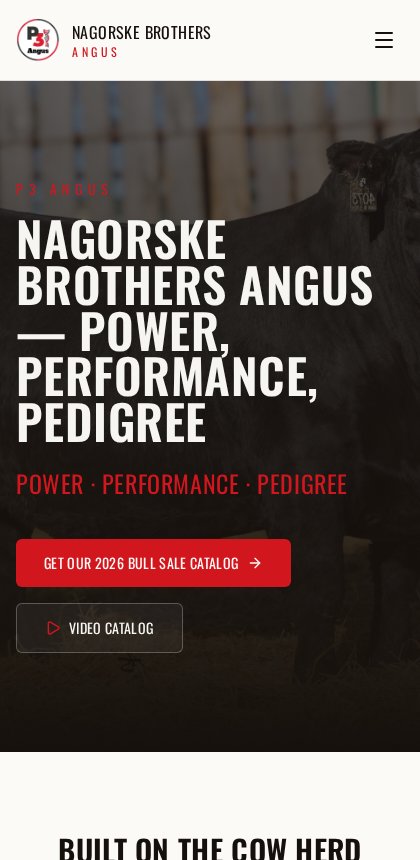Mobile homepage design — P3 Angus seedstock brand and website, Source IE case study.